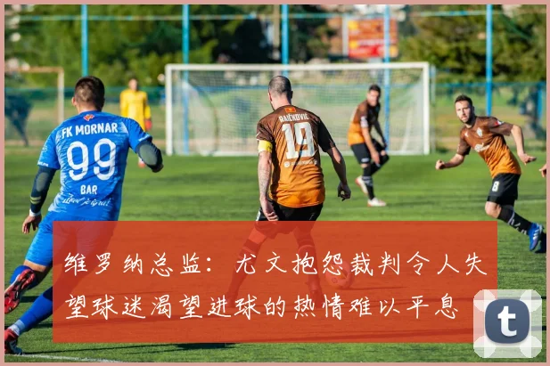 维罗纳总监：尤文抱怨裁判令人失望球迷渴望进球的热情难以平息